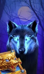 Book Of The Night Wolf